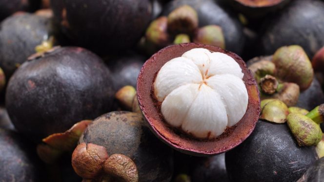 
 Buah Manggis, Rahasia Kesehatan yang Tersembunyi