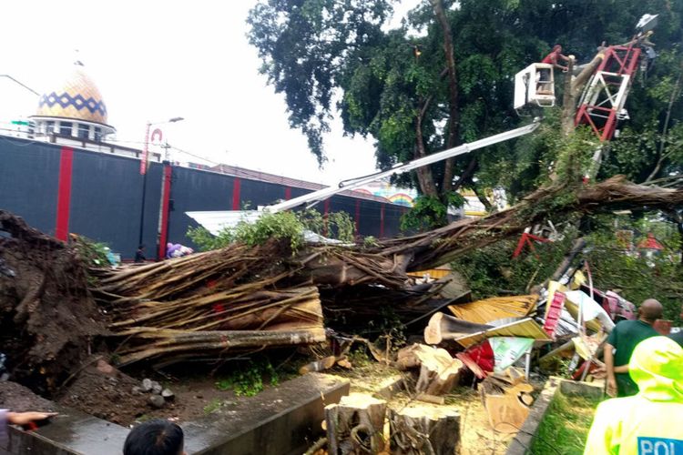 Kondisi pohon beringin yang tumbang timpa sejumlah kios dan 9 orang di Alun-alun Kota Blitar, Senin (8/1/2024). 