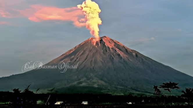 
 Gunung Semeru di Kabupaten Lumajang, Jawa Timur mengalami erupsi dengan menyemburkan kolom abu setinggi 2000 meter. (AP Photo)

