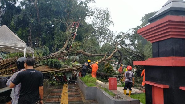 Kondisi pohon beringin yang tumbang timpa sejumlah kios dan 9 orang di Alun-alun Kota Blitar, Senin (8/1/2024). 