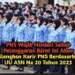 PNS wajib hindari sebab pelanggaran berat ini akan hilangkan karir PNS berdasarkan UU ASN No 20 Tahun 2023 (setkab.go.id edit pixelLab)