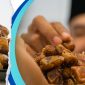 Ini yang Akan Terjadi pada Tubuh Saat Makan Kurma Setiap Hari ( foto canva )