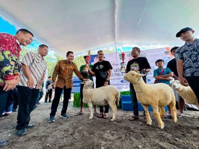 
 Kontes Domba Perdana di Lumajang Dorong Pertumbuhan Ekonomi dan Kesejahteraan Peternak