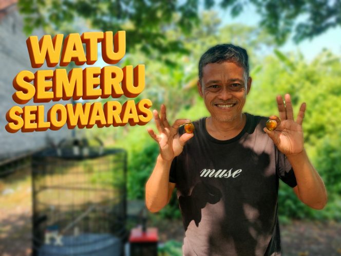 
 Batu Akik SELOWARAS, Energi Alam Semeru dari Lahar Purba