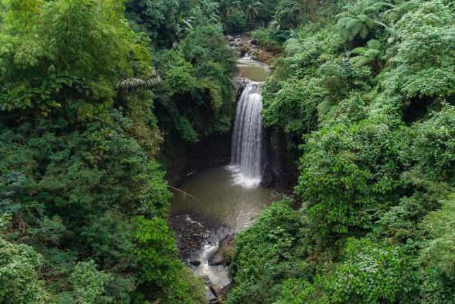
 Air Terjun Gembiring Lumajang: Pesona Tirai Alam yang Tersembunyi