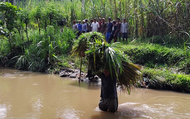 
 Empat Kali Jembatan Hancur, Semangat Peternak Sumberjeding Tetap Kokoh Menyebrangi Sungai