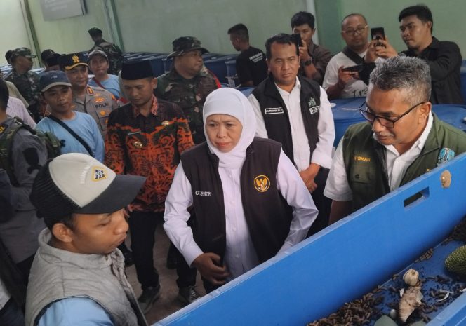 
 Inovasi Pengelolaan Sampah di Lumajang: TPS3R Purworejo Jadi Pionir Ekonomi Sirkular Jawa Timur