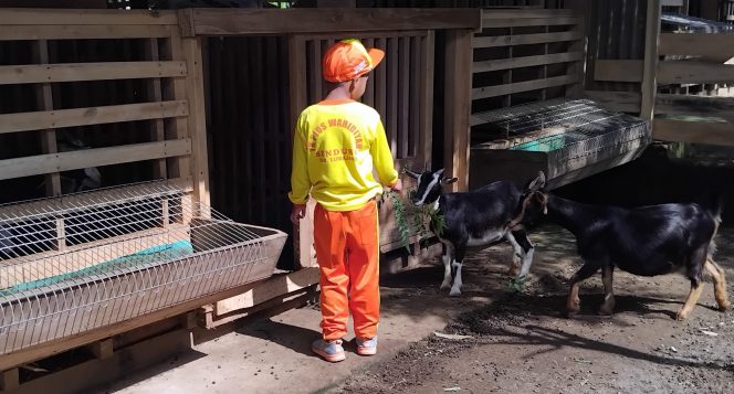 
 Outing Perdana TK Plus Wahidiyah: Petualangan Seru di Aluna Farm Lumajang, Anak-anak Jadi “Peternak Sehari”!