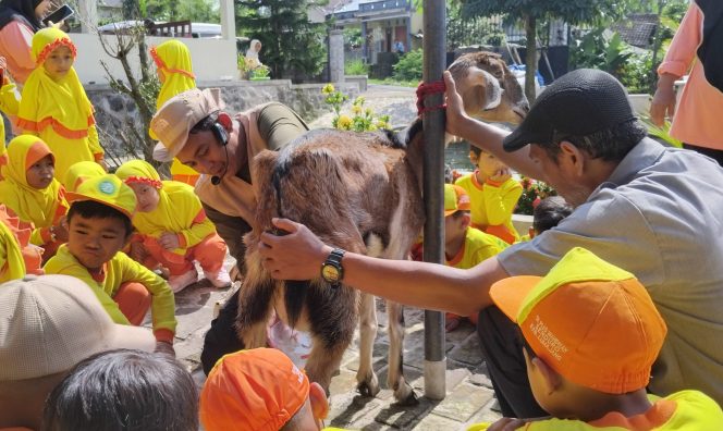 
 Edukasi Peternakan untuk Generasi Muda: Inisiatif Aluna Farm di Lumajang