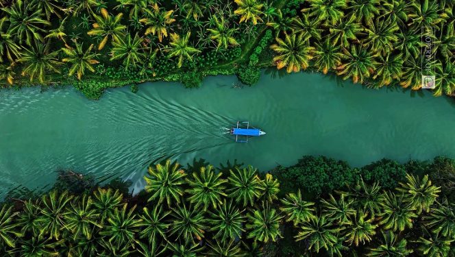 
 Tempursari Lumajang: Amazon dari Timur Jawa yang Masih Perawan