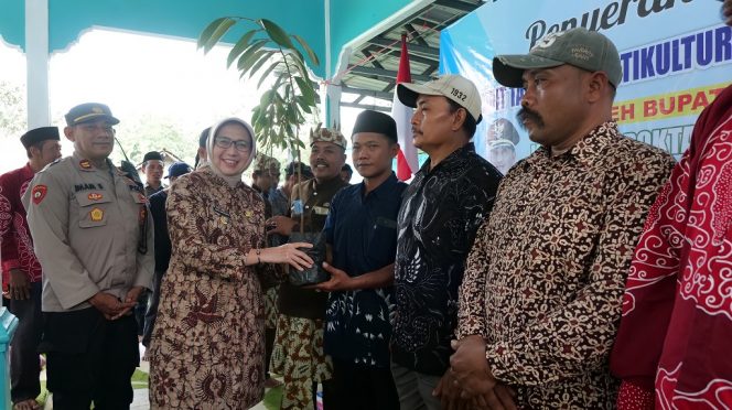 
 Lumajang Fokus Kembangkan Durian Montong Sebagai Komoditas Hortikultura Unggulan