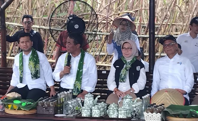 
 Amran Sulaiman Sentil Bulog: Beri Ruang Petani Untung, Jangan Biarkan Negara Rugi!