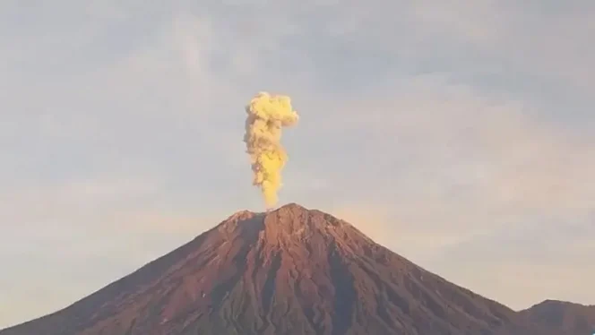 
 PVMBG Tegaskan Status Waspada Gunung Semeru, Warga Dilarang Mendekat ke Besuk Kobokan