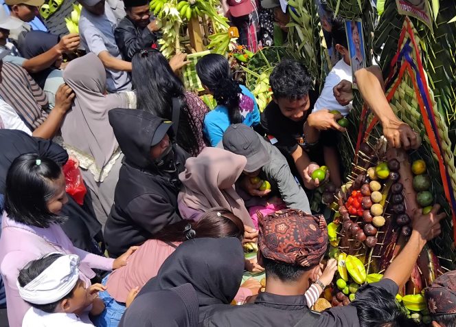 
 Meriah! Warga Kandangan Berebut Isi Jolen dalam Tradisi Sedekah Bumi