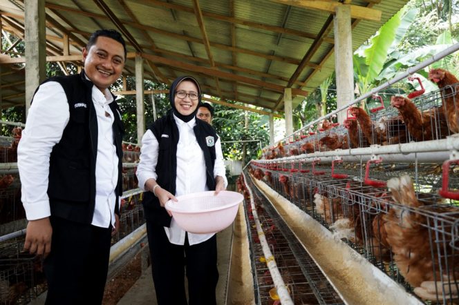 
 Dari Desa untuk Bangsa, Embrio Peternakan Desa Buwek yang Siap Dukung Ketahanan Pangan Nasional