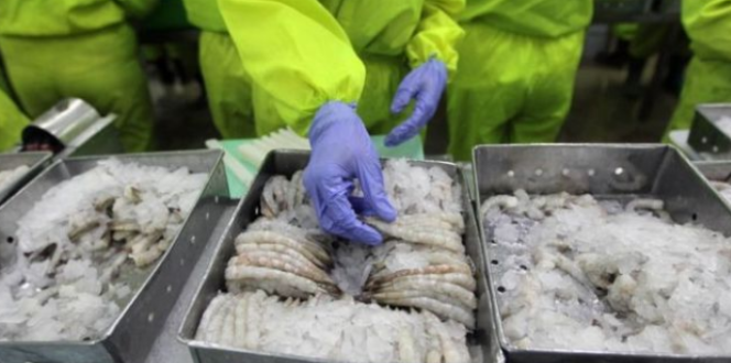
 FDA Tarik Udang Beku Walmart Yang Dikirim Dari Indonesia