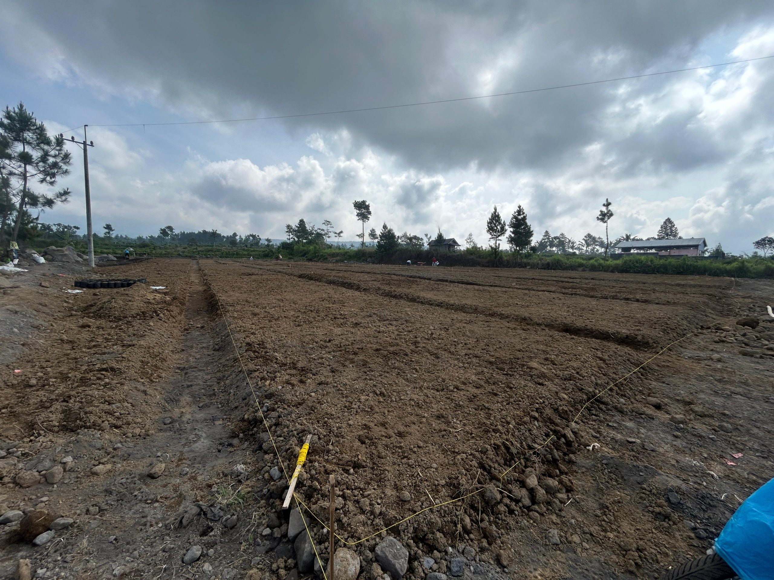 progres pembangunan taman bunga di lereng semeru