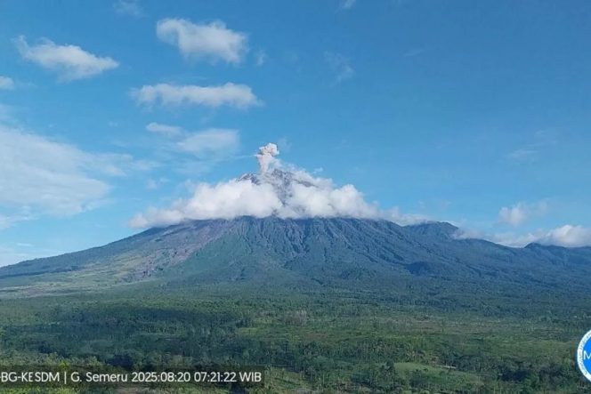 
 Gunung Semeru Erupsi Kolom Abu Capai 800 Meter di Atas Puncak