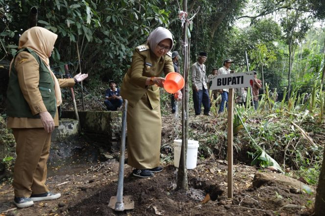 
 Pemkab Lumajang Jadikan Penanaman Pohon Strategi Perlindungan Sumber Air di Desa Tunjung