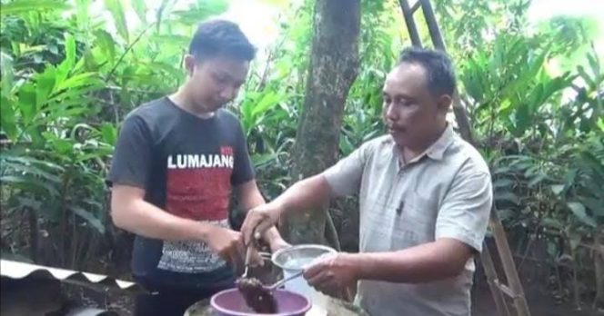 
 Emas Cair dari Senduro, Sukses Usaha Madu Klanceng Pemuda Lumajang